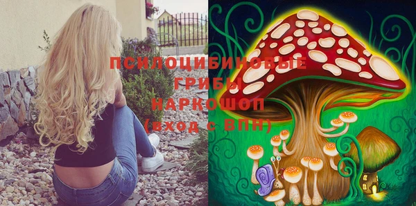 мдма Богородицк