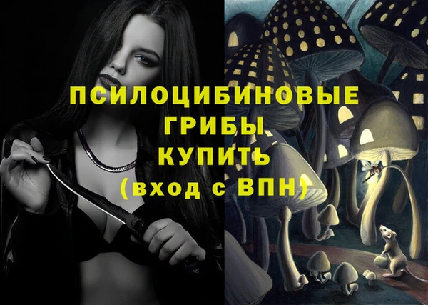 шишки Богородск