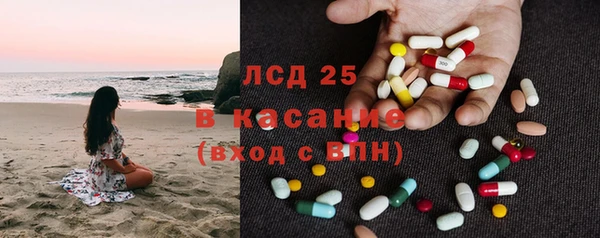 ПСИЛОЦИБИНОВЫЕ ГРИБЫ Бородино